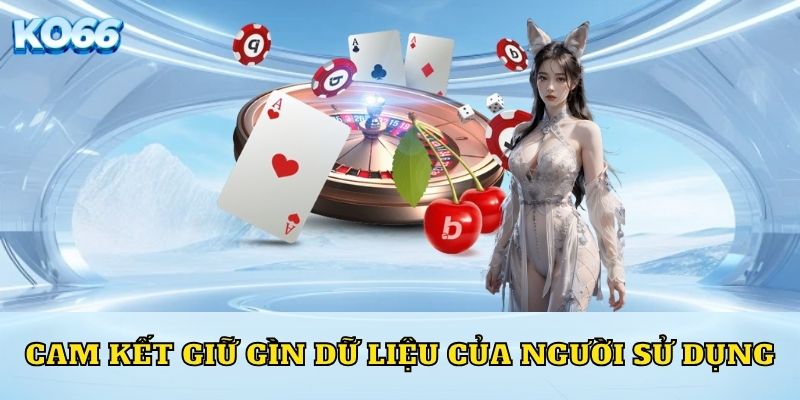 Cam kết giữ gìn dữ liệu của người sử dụng