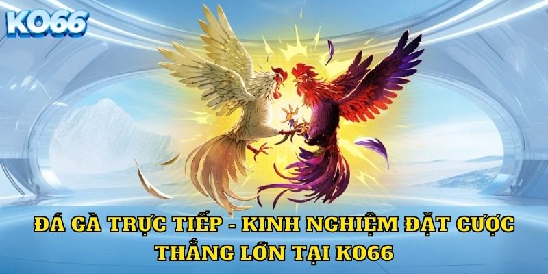 Đá gà trực tiếp