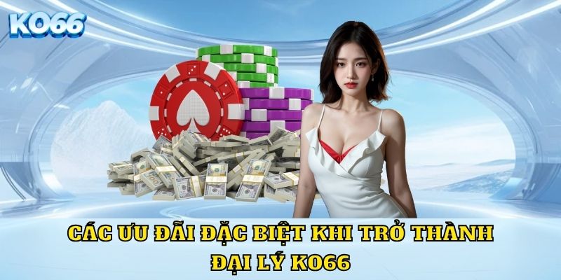 Các ưu đãi đặc biệt khi trở thành đại lý KO66 